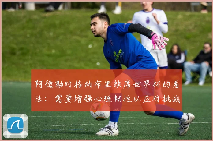 阿德勒对格纳布里缺席世界杯的看法：需要增强心理韧性以应对挑战